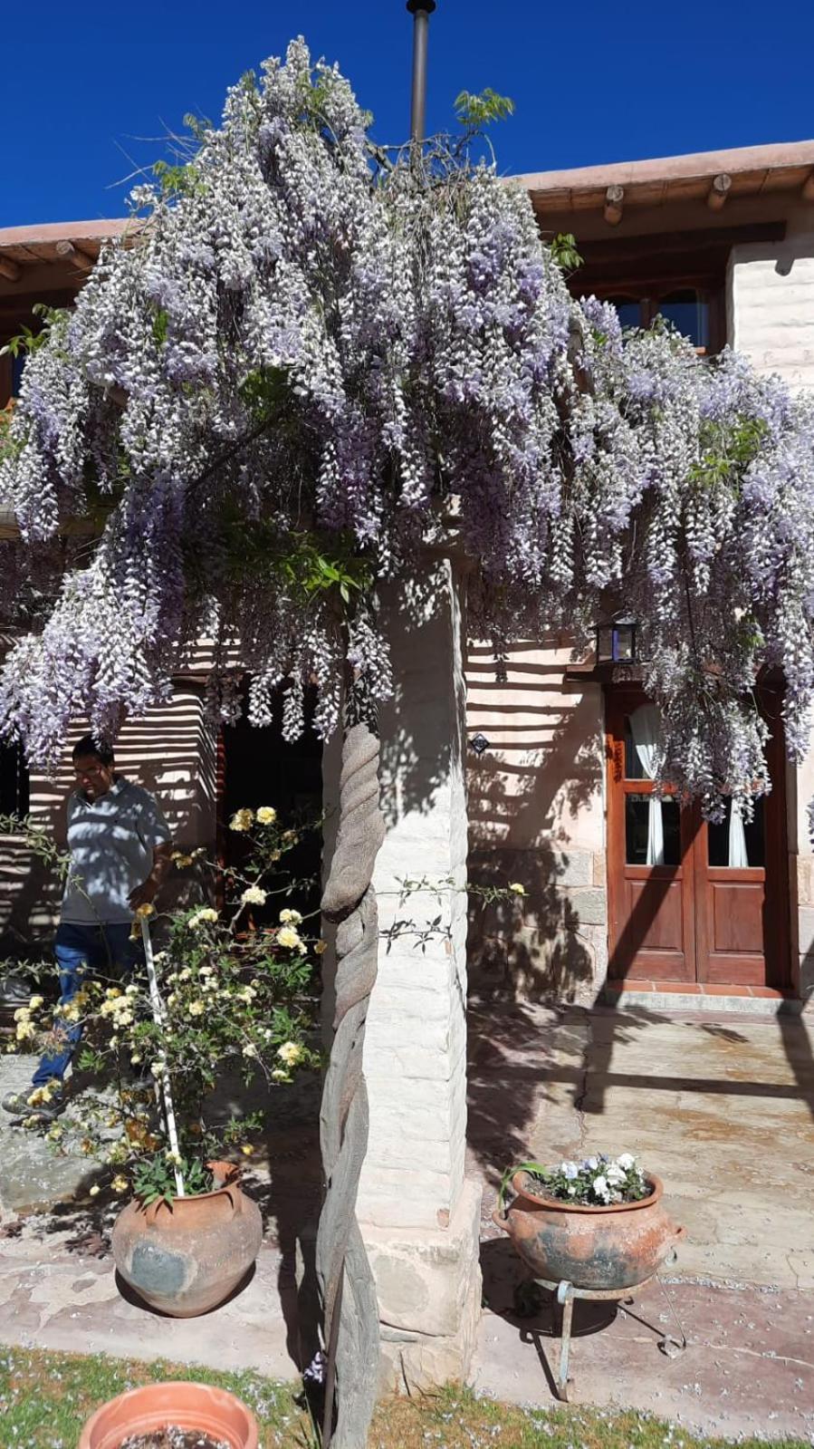 El Ensueno Villa Tilcara Exterior photo